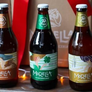 Cerveza artesanal Irish Morella 500 CC