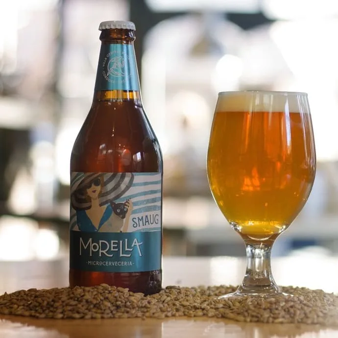 Cerveza artesanal Smaug Morella 500 CC