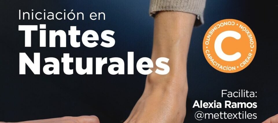 Iniciación en tintes naturales
